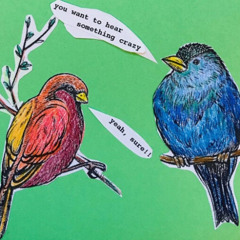 TALKIN’ TO THE BIRDS