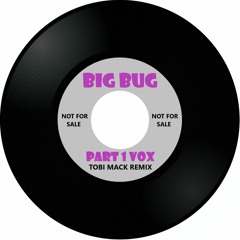BigBug (Tobi Mack Remix Part 1 Vox)