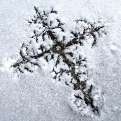 frozen