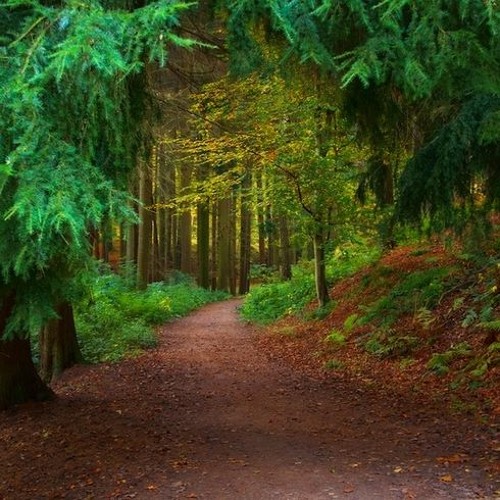 Take The Road To The Unknown