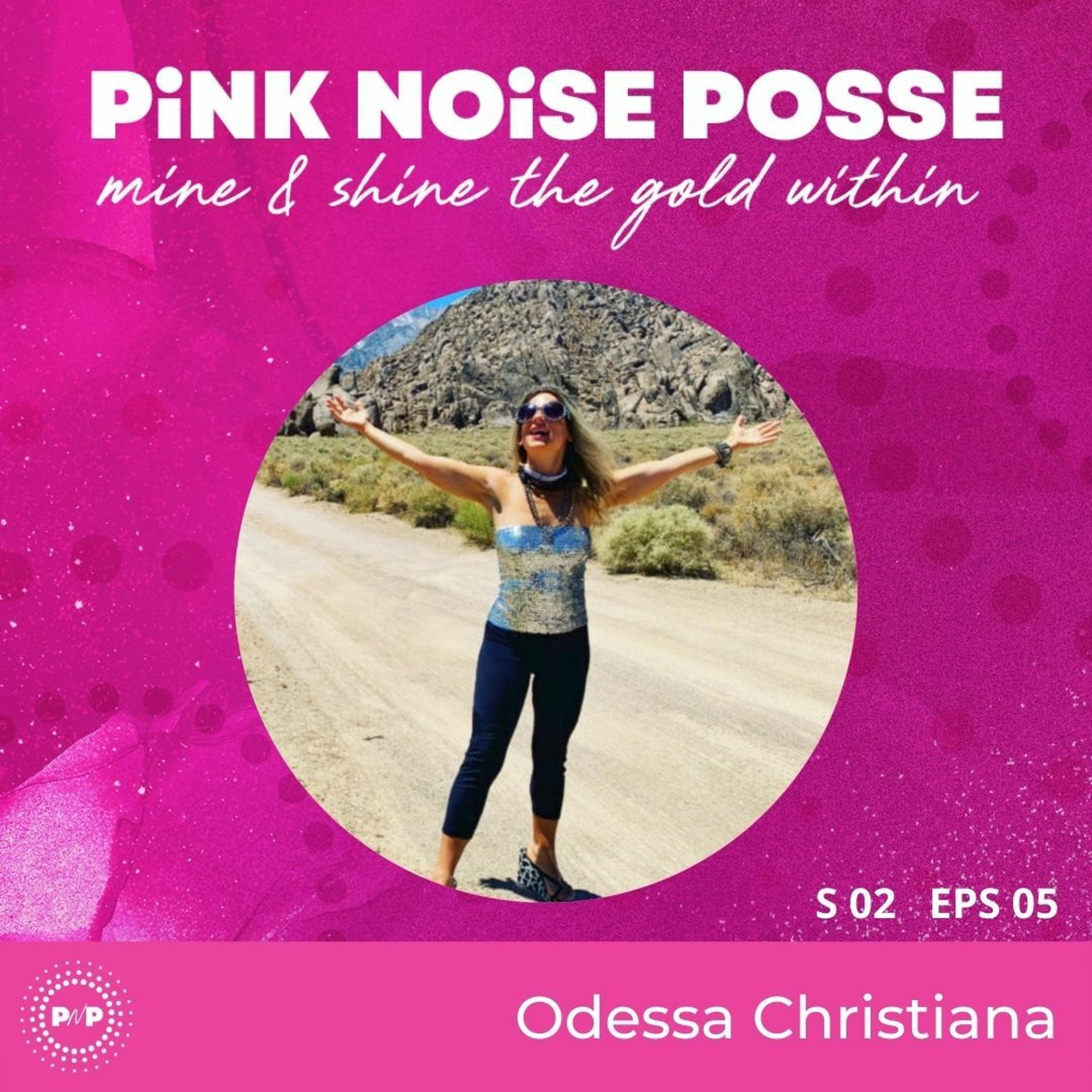Pink Noise Posse