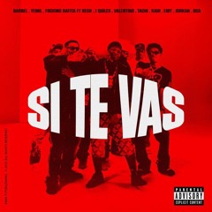 SI TE VAS