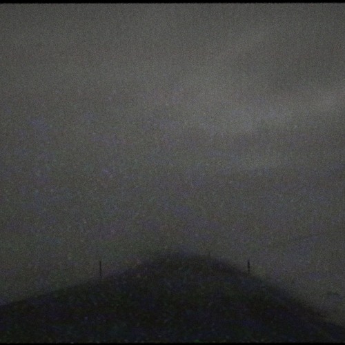 coldlight