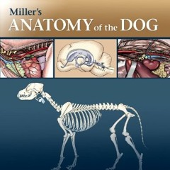 Get [EBOOK EPUB KINDLE PDF] Miller's Anatomy of the Dog by  Howard E. Evans PhD &  Al