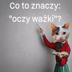 Lekcja; Temat: Oczy Ważki.
