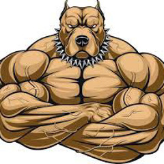 Bigdawg