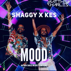 Mood (Matthew Charles Melodic Techno Remix)- Shaggy x Kes