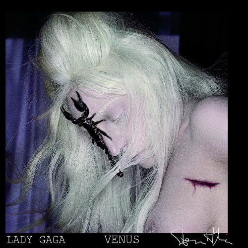 Botticelli Nude Is A Beauty #2 (New Demo Alt Vocals)