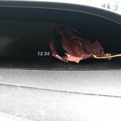 Boy Crush (Girl Crush Cover)