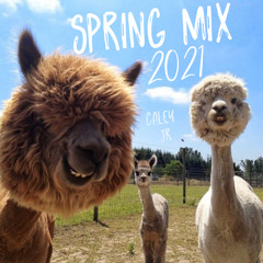 Spring Mix 2021