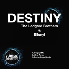 Destiny - Original Mix by The Ledgard Brothers and Elenyi