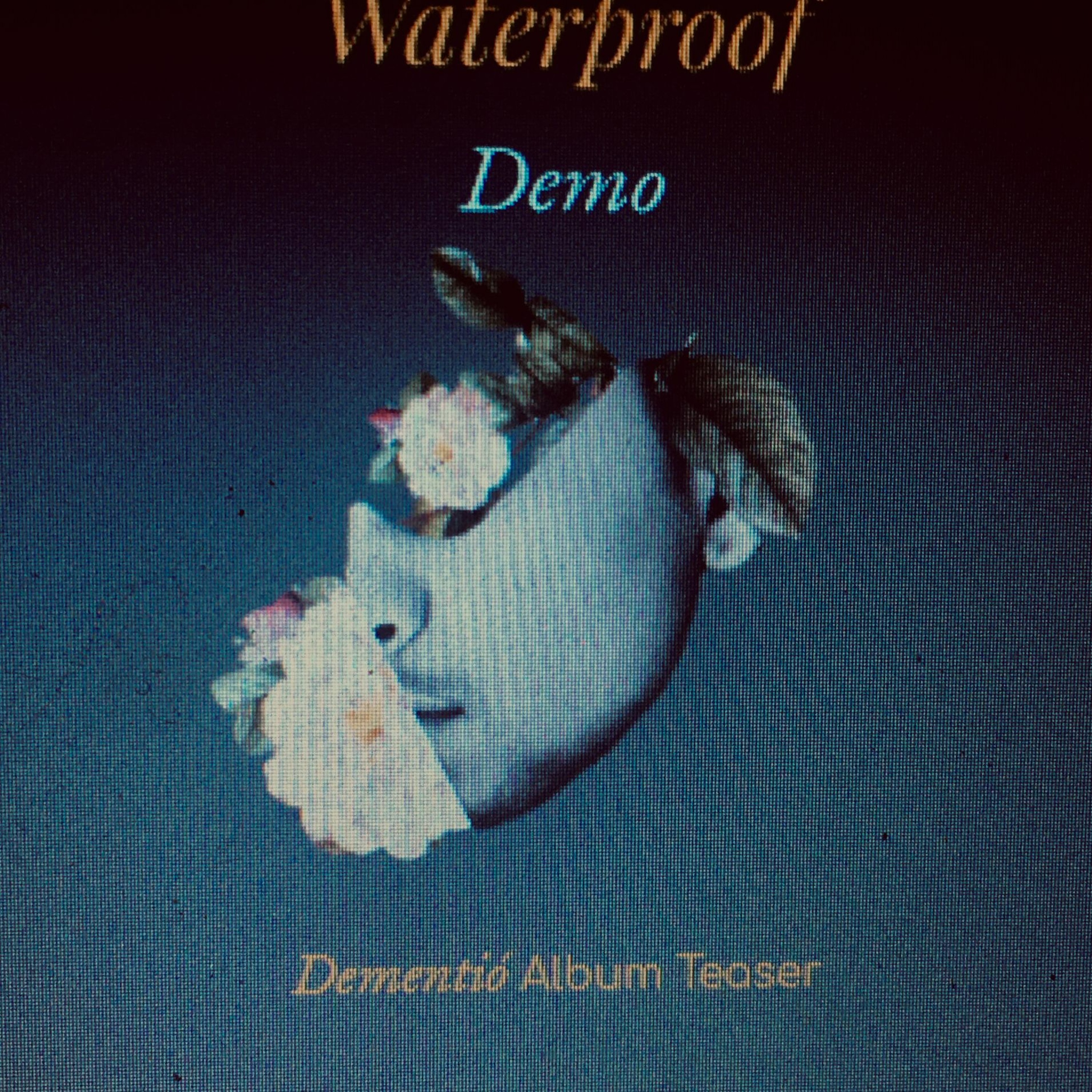 Waterproof (Demo) episode artwork