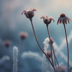 Wither away