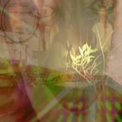 1.1111bliss3three +++ reverie