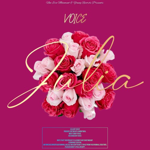 JULIA(prod by CERTIBEATS & Mentura).wav