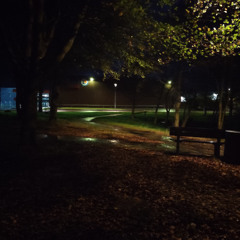 dancing 4lone in the for3st