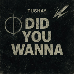 Did You Wanna (Free Download)