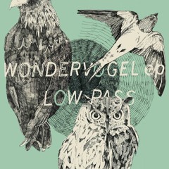 Twilight Owl / LOW-PASS