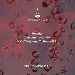 ML Free Download: Flowdan - Welcome To London (N.O.Y Welcome 2 House Edit)
