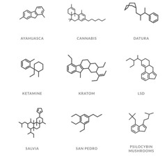 kittensink ensemble live