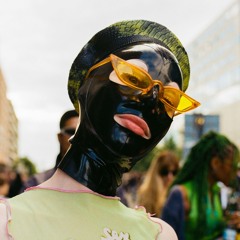 Da Hool - Meet Her at the Love Parade (Remix)
