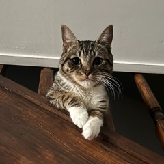 Spit_into_your_wind.mp3