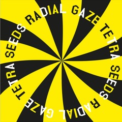 PREMIERE: Radial Gaze – Skidoo Signs [ Thisbe Recordings ]