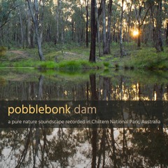 'Pobblebonk Dam', Recorded in Chiltern NP, Victoria, Australia
