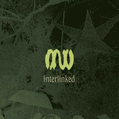 interlinked @ minutiae 23 (02.01.24)