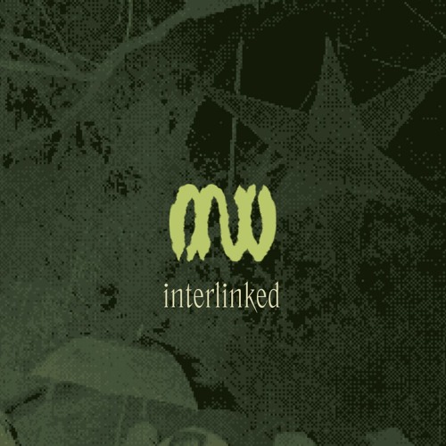 interlinked @ minutiae 23 (02.01.24)