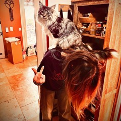 lungskull x akselbolt - take a peek (lungskull)