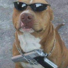 Sabai jana  (official audio)