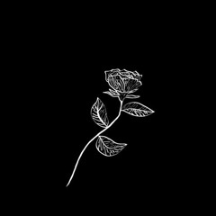 você não é especial, eu nunca amaria você