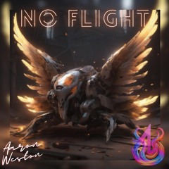 No Flight