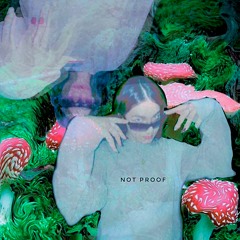 not proof (prod.chilly whilly)