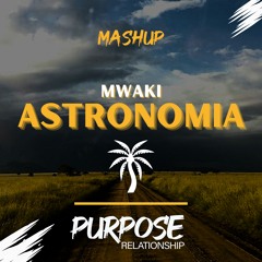 DWNLD UNPITCHED VERSION Mwaki vs. Astronomia (Purpose Relationship Techno Mashup)
