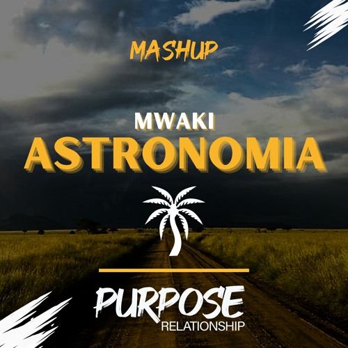 DWNLD UNPITCHED VERSION Mwaki vs. Astronomia (Purpose Relationship Techno Mashup)