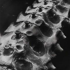 fracture/mend