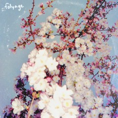 I Leave Again - Petit Biscuit (folyage remix)