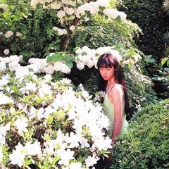 (Chaotic Purities : 2023-2024)