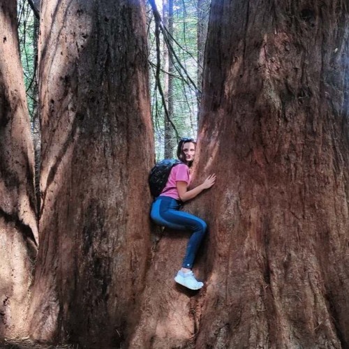 I Do Whatever I Want Techno