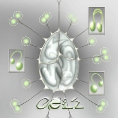 影親 - 20240828(wed) CELL at SHAFT