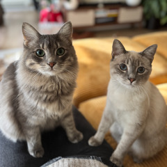 Deep House with my Cats | Volume 2