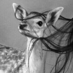 ‎⁨شيلة تذكرت يالغالي آدٱء محمد‎ ال نجم⁩.