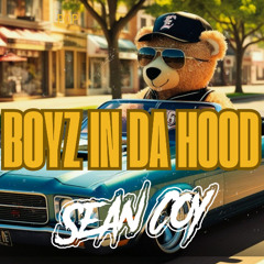 Boyz In Da Hood - Sean Coy