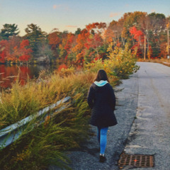 Wild Mountain Thyme (2025 Live Cover)