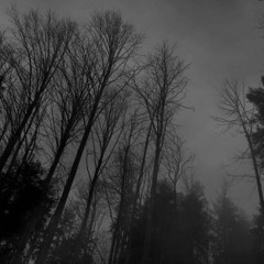 fuck this [just to see you look] (prod. ‪@rainnrainrain‬ ‪@meedowmusic‬)