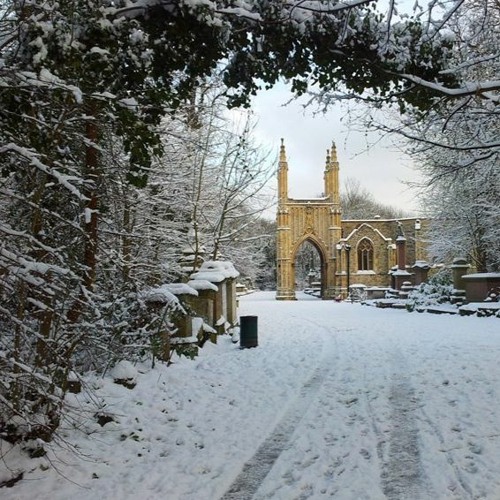 Freeze Company (2005)