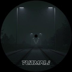 Tourmaline - N. N. Land