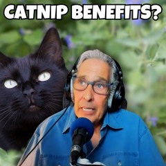 The Pet Show with Warren Eckstein 091424
